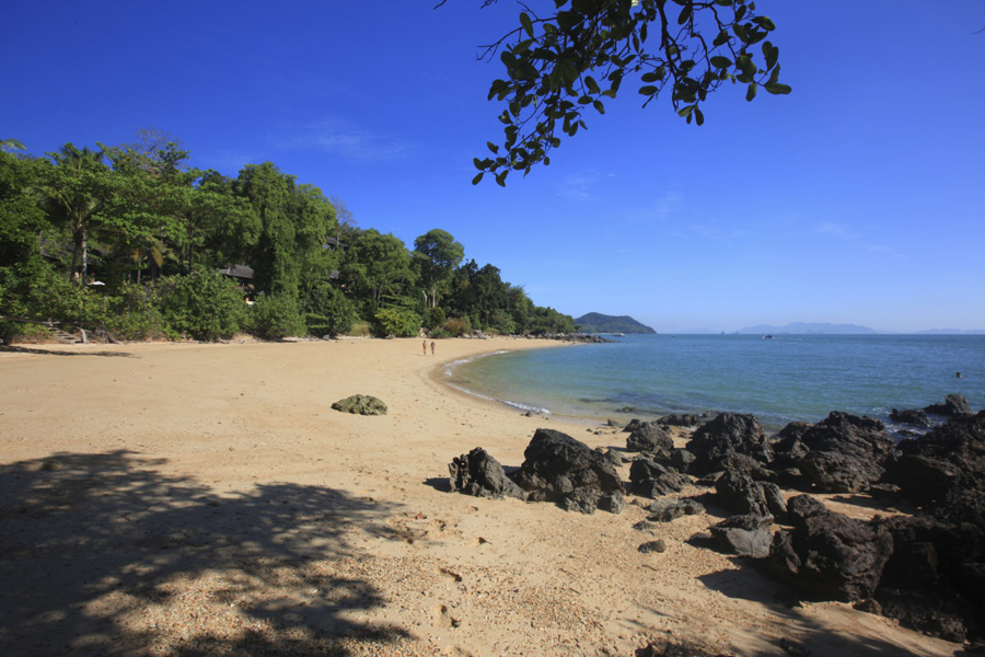 Slide Image